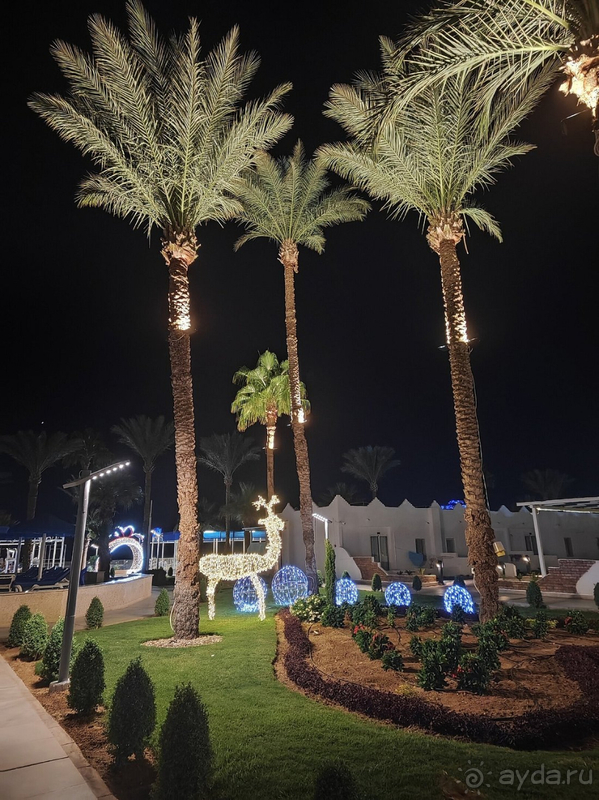 Уютная четверка