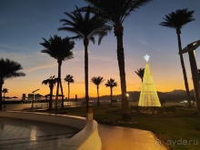 фото Albatros Sharm Resort