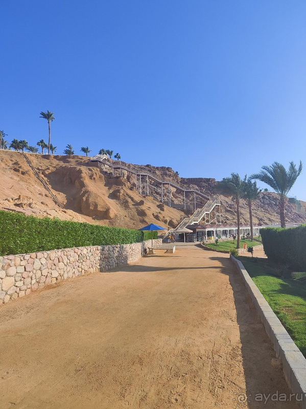 Уютная четверка