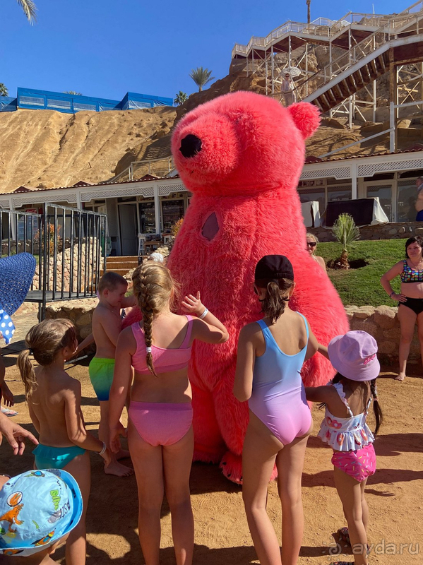 Супер отдых в Шарме 🤿