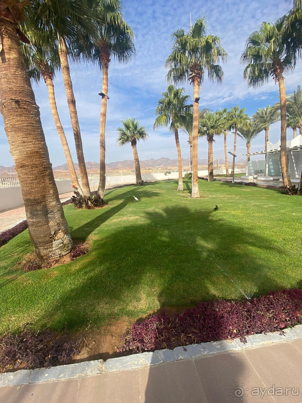 Супер отдых в Шарме 🤿