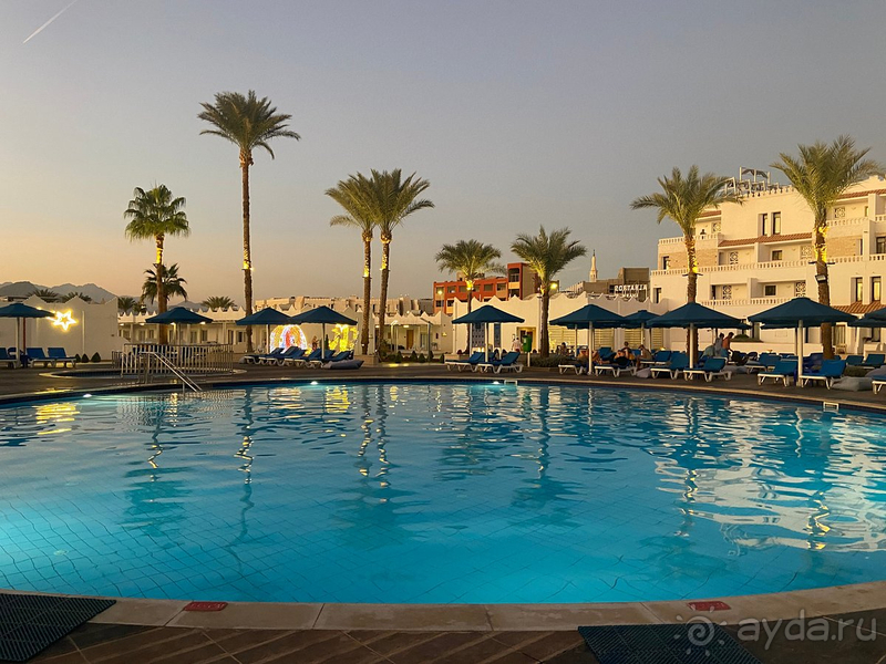 Супер отдых в Шарме 🤿