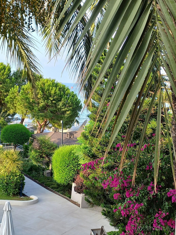 Второй отпуск в отеле с большим удовольствием!