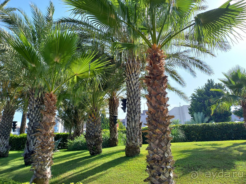 Второй отпуск в отеле с большим удовольствием!