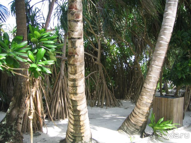 Это стоит тех денег