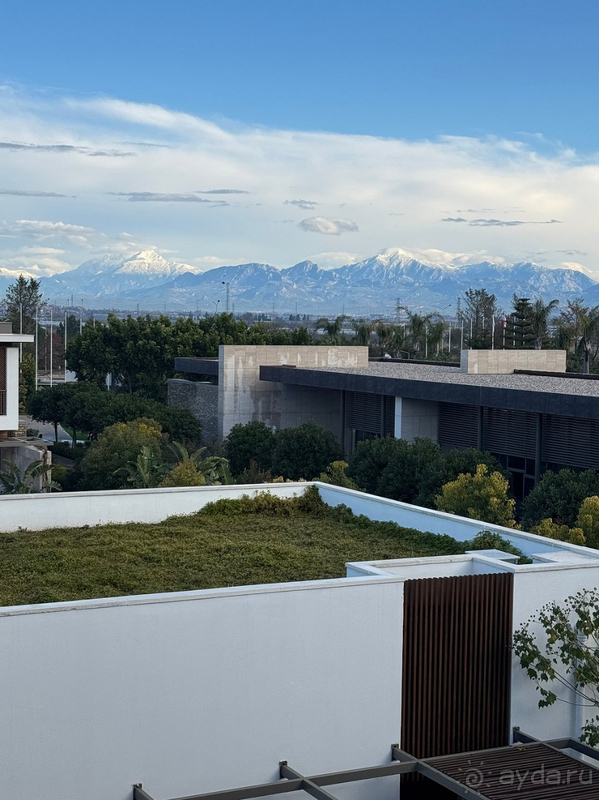 Шикарно! Но есть нюанс Шикарно! Но есть нюанс