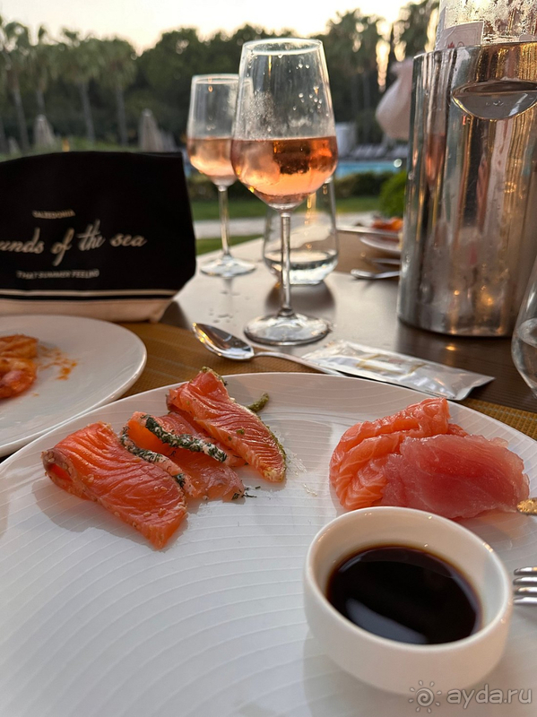 Lara Barut Collection, август 2024 Lara Barut Collection, август 2024