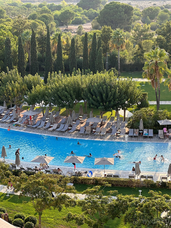 Lara Barut Collection, август 2024