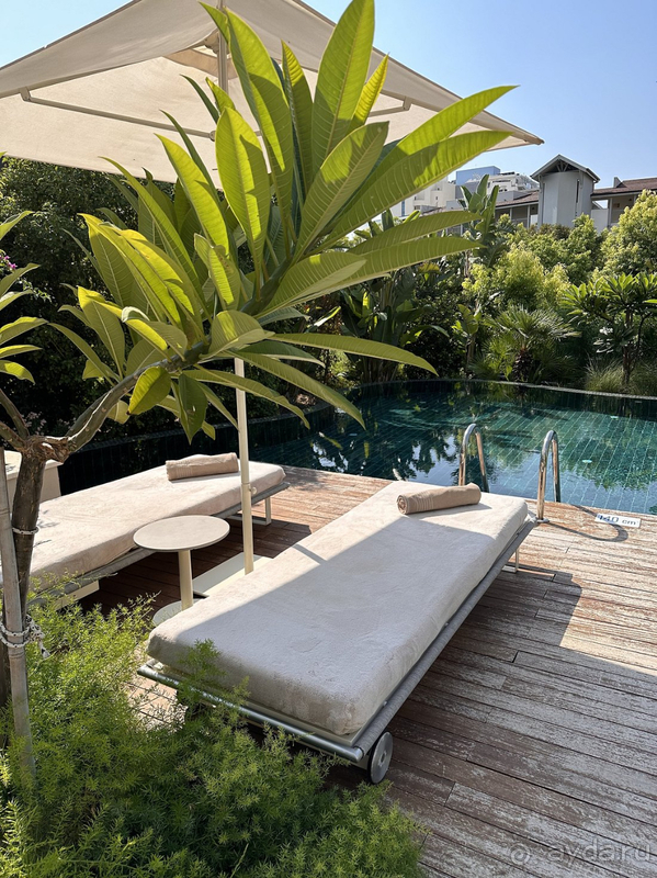 Lara Barut Collection, август 2024