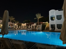 Мой любимый Фалькон