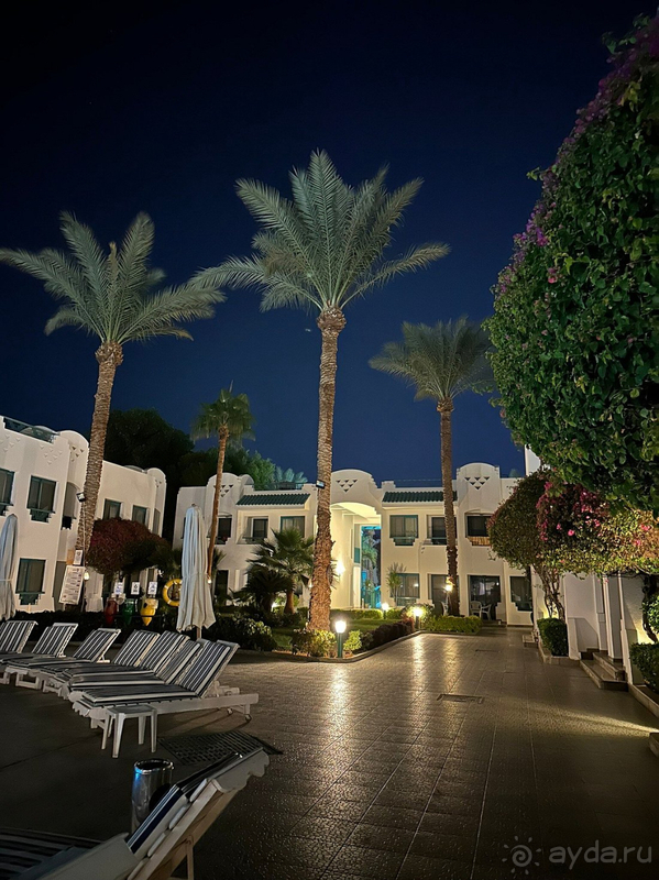 Мой любимый Фалькон