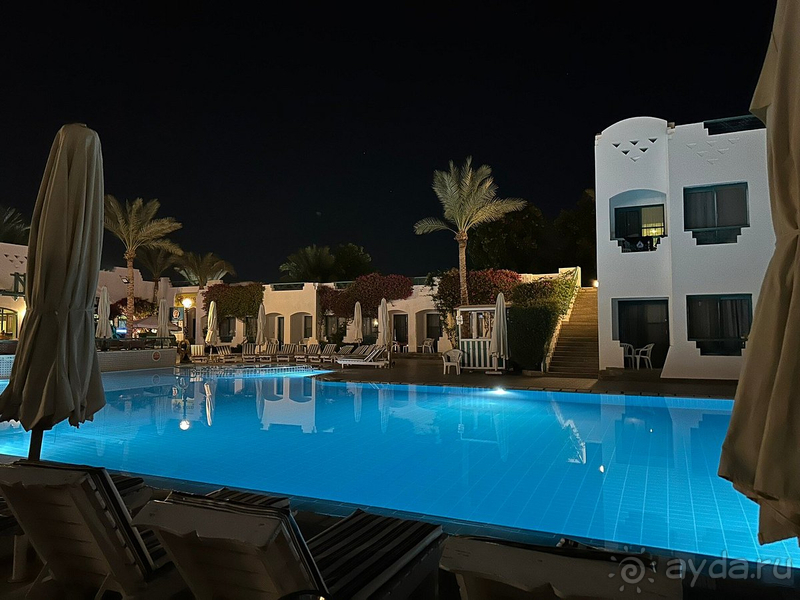 Мой любимый Фалькон