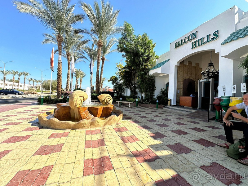 Мой любимый Фалькон