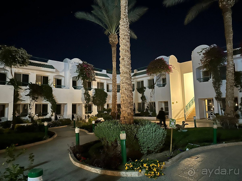 Мой любимый Фалькон