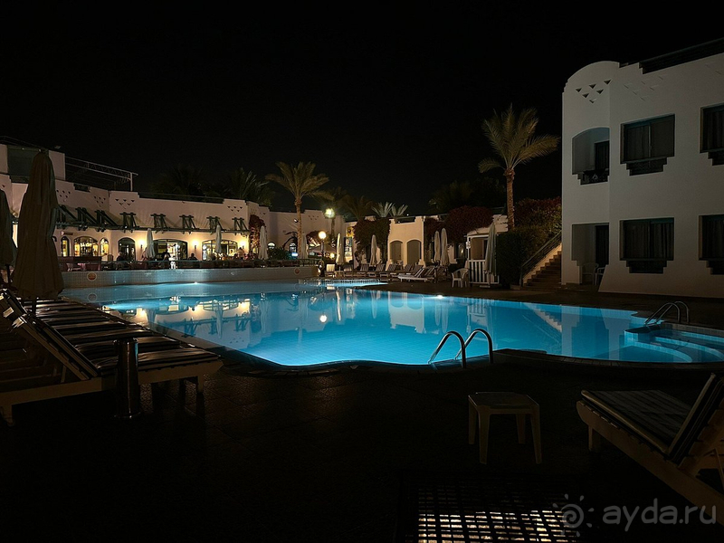 Мой любимый Фалькон