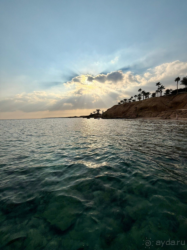 Наш первый отпуск в Египте