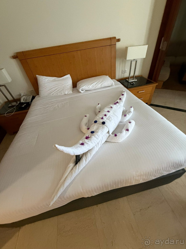 Наш первый отпуск в Египте