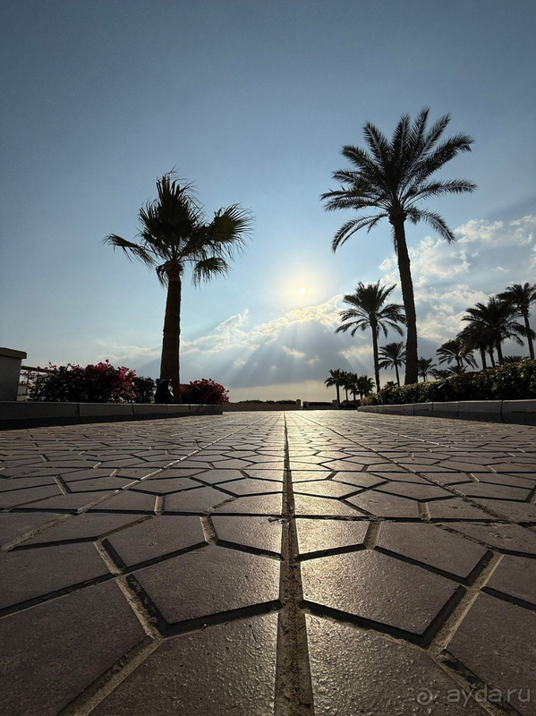 Наш первый отпуск в Египте