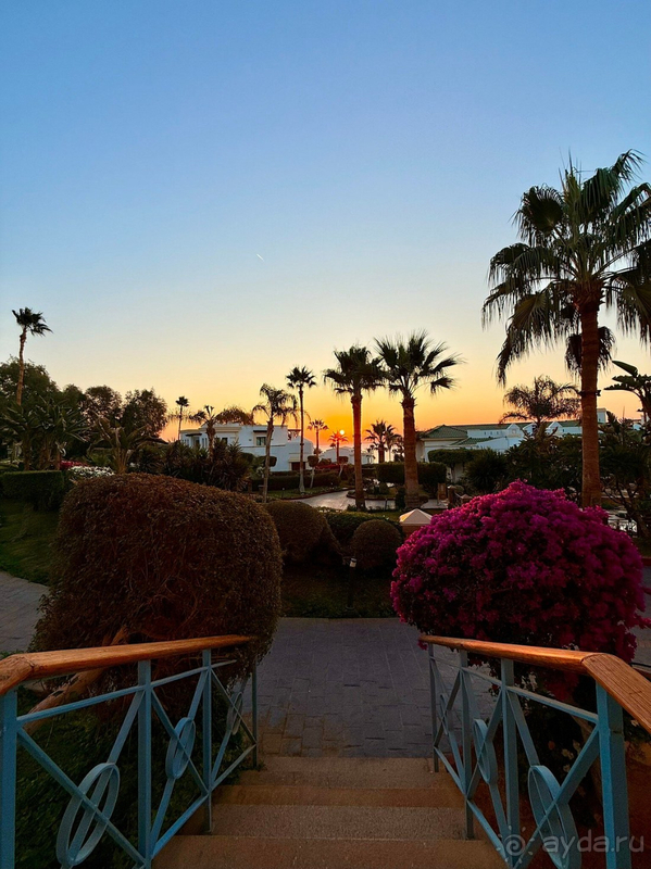 Наш первый отпуск в Египте