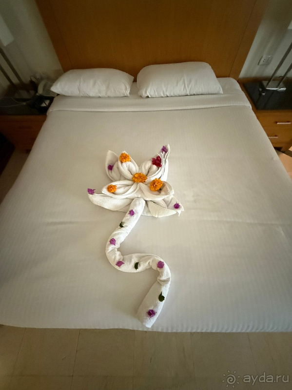 Наш первый отпуск в Египте