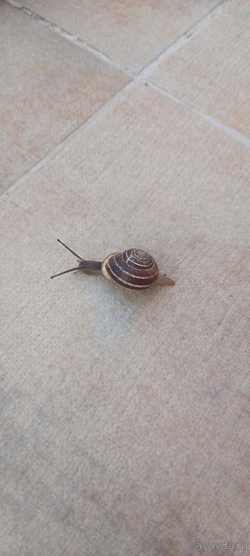 Зимний отдых в Турции