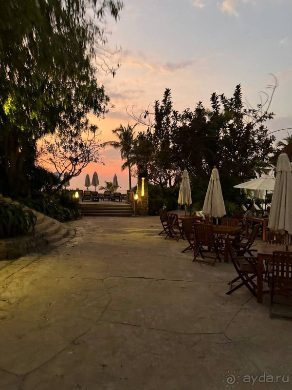 Мнение профессионала (35 стран)