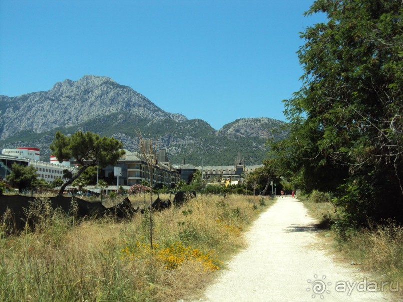 Отель Элизабет