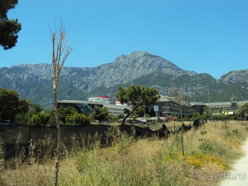 Отель Элизабет