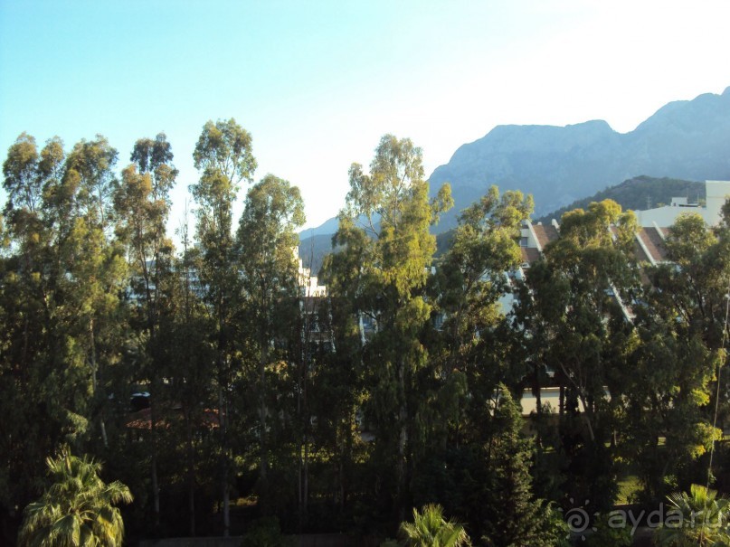 фото Mirage Park Resort