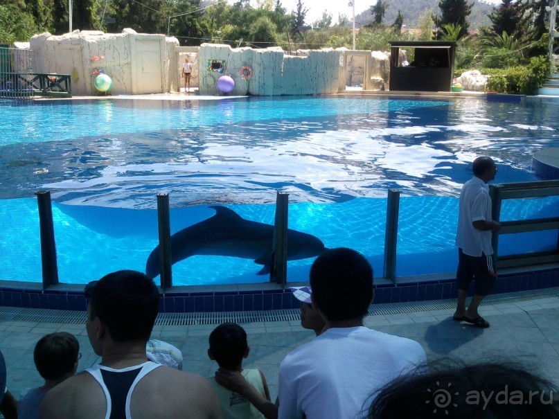 фото Mirage Park Resort