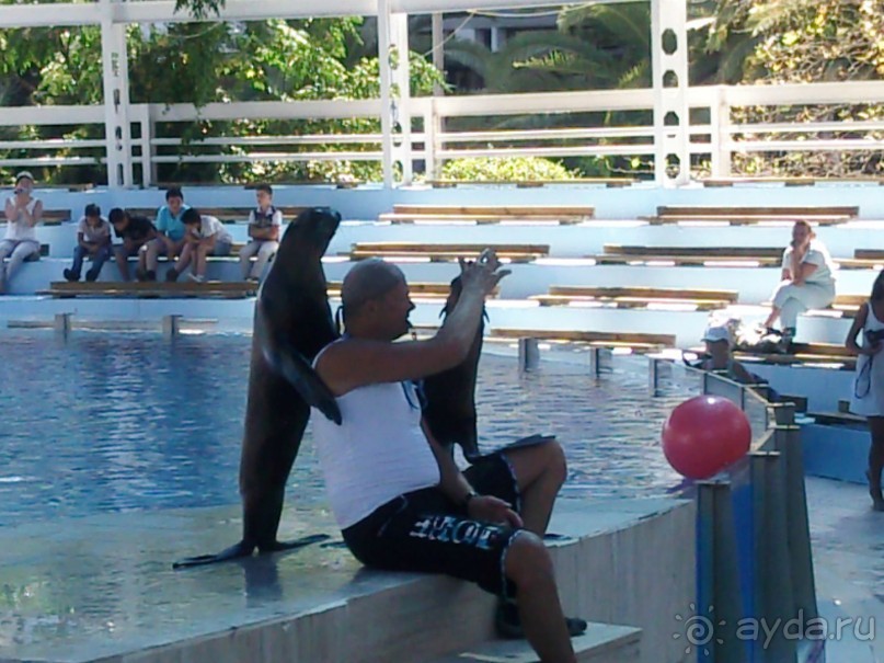 фото Mirage Park Resort