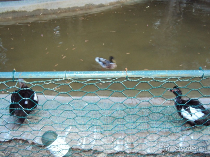 Турция, Маджести Мираж парк