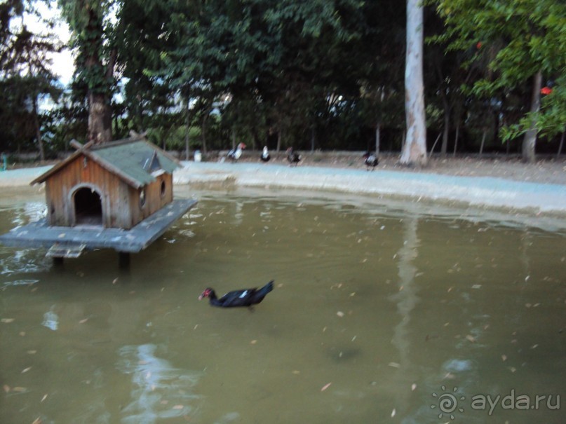 Турция, Маджести Мираж парк