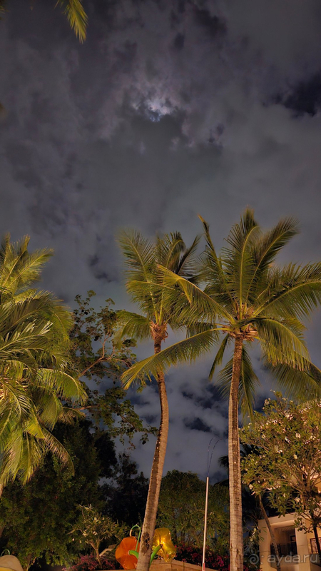 Рекомендую