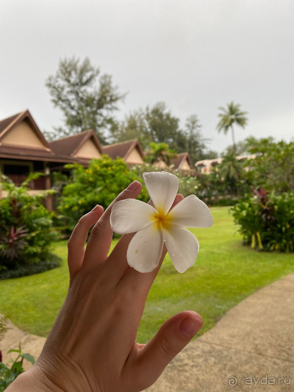 Отличный отель, рекомендую Отличный отель, рекомендую