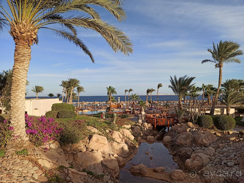 Классная команда аниматоров