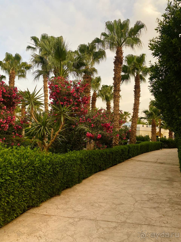 Попали на пасху