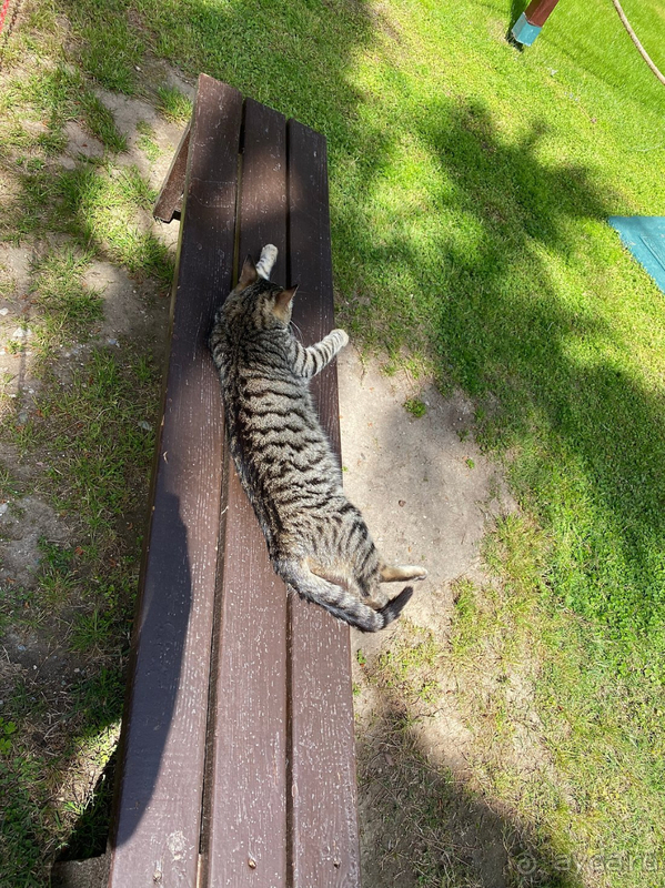 Хороший отель для отдыха!