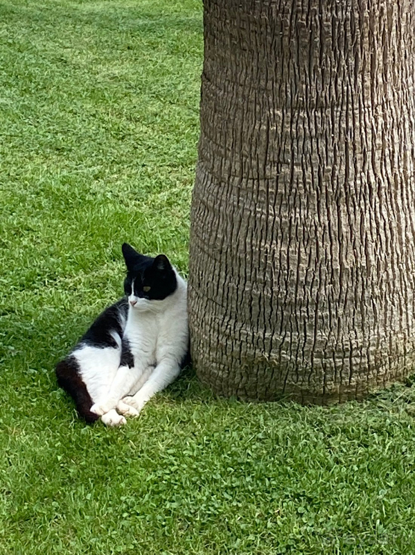 Хороший отель для отдыха!