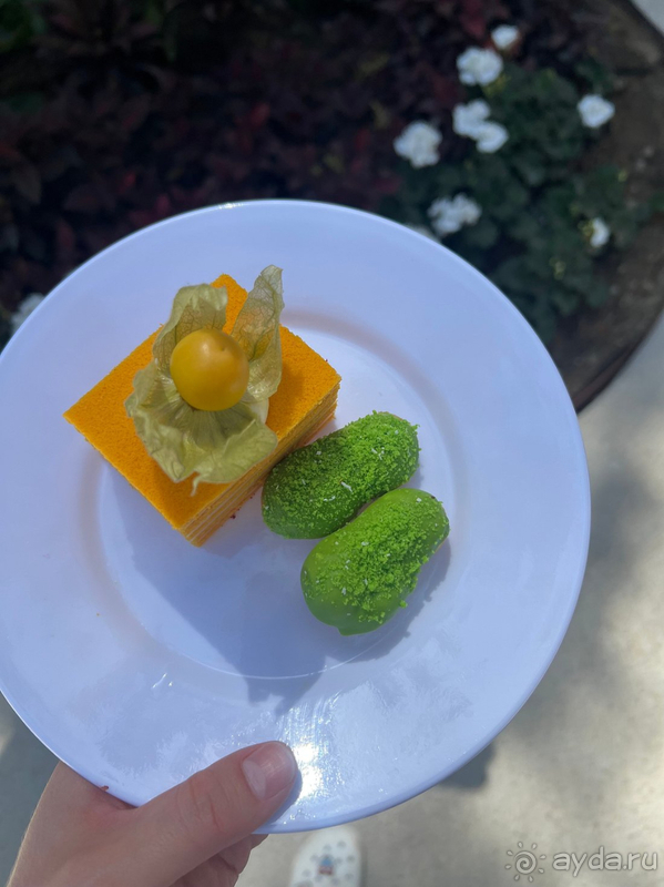 Хороший отель для отдыха!