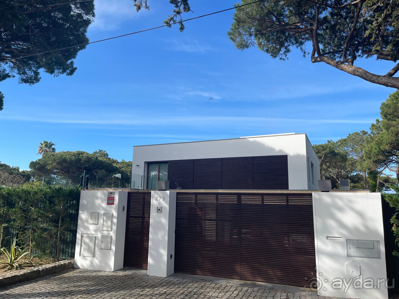 Классный отдых в соснах на берегу океана 