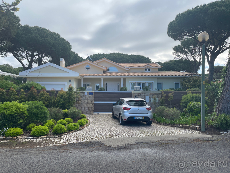 Классный отдых в соснах на берегу океана 