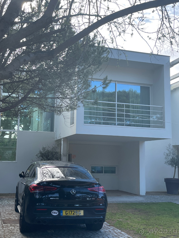 Классный отдых в соснах на берегу океана 