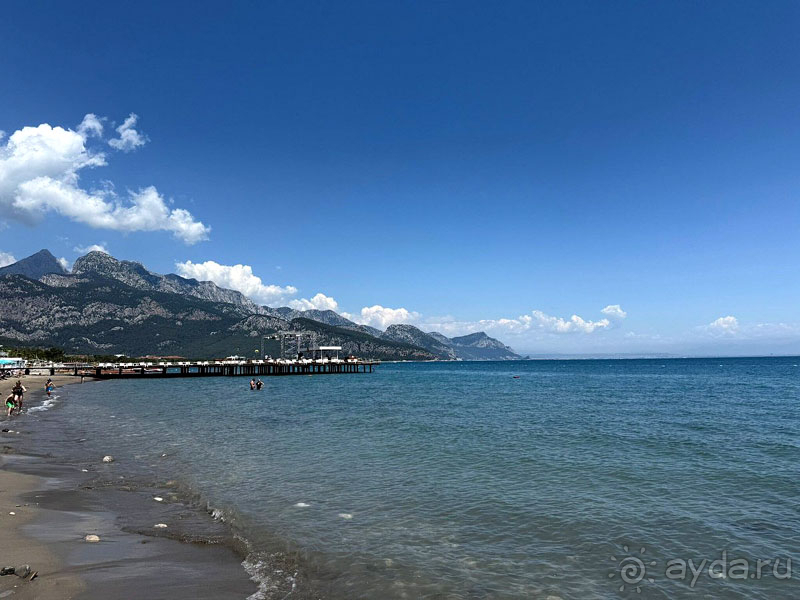 Разочарованы Разочарованы