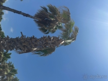 Альбом отзыва "Шикарный отель 5/5"