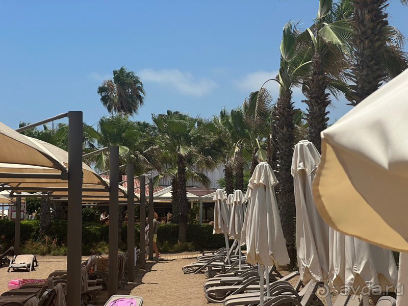 Альбом отзыва "Шикарный отель 5/5"