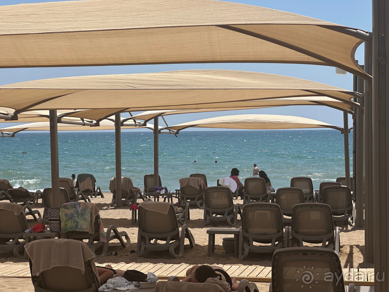 Альбом отзыва "Шикарный отель 5/5"