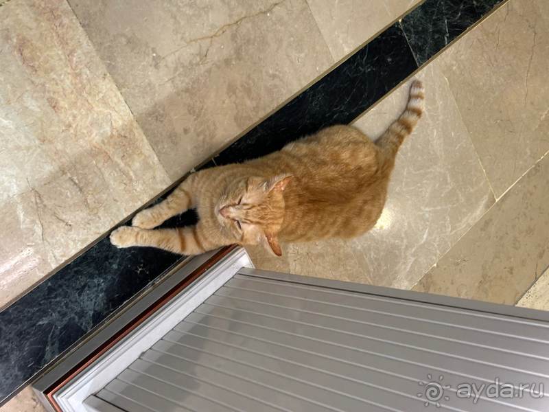 Шикарный отель 5/5