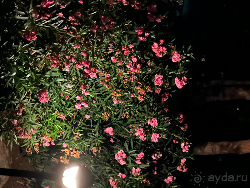 Шикарный отель 5/5