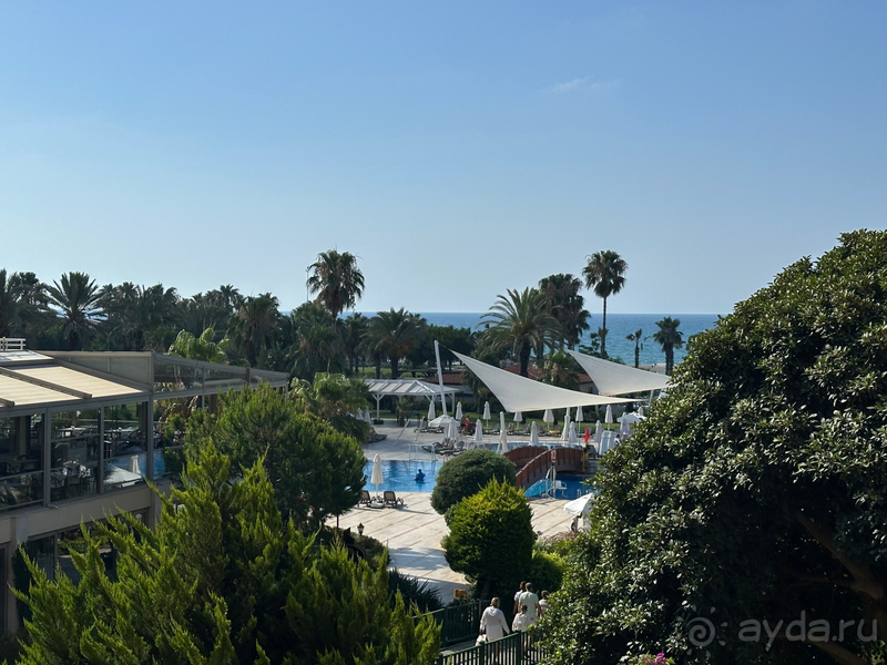 Шикарный отель 5/5 Шикарный отель 5/5